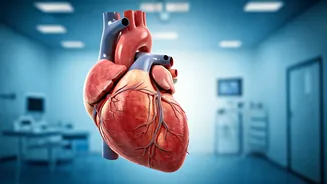 Natural Ways to Lower Blood Pressure: 6 Effective Exercises