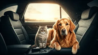 Pet-First Travel Is Reshaping Holiday Planning In India