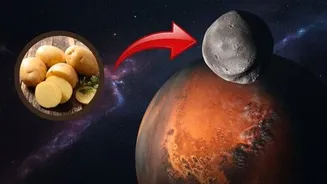 Japan launches MMX to explore Mars moons Phobos and Deimos