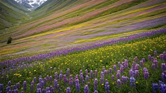 Uttarakhand’s Floral Trek Is Calling Patient Travellers