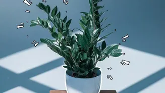 Air Quality Experts Explain Why Ventilation Still Matters More Than Houseplants