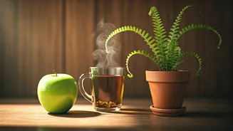 Real Weight Loss Begins With Small Daily Habits