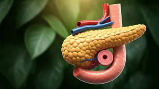 Reverse Pre-Diabetes in 7 Steps: A Guide