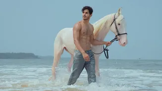Ishaan Khatter's 'The Royals' gets another new director