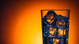 Beat the Heat: Essential Tips to Combat India's Sweltering Summer Heatwave