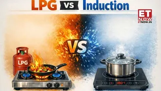 LPG vs Induction: Which is cheaper and how much electricity does it use in a month?