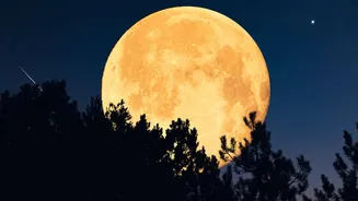 Chaitra Purnima 2026: 1 or 2 April? When to Perform Snan, Daan and Observe the Fast