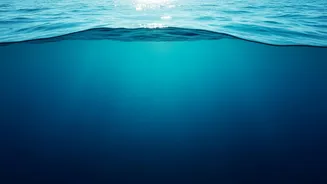 Understanding Ocean Heat Beyond Air Records In July's Record Global Sea Heat