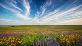 Worldwide Journeys: Unveiling Must-Feel Emotions