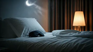 Sleep Impacts Your Brain and Body Health