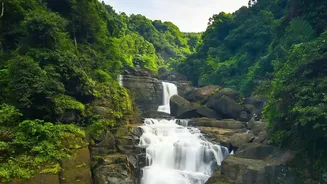 Travel Lovers Add Maharashtra Waterfalls To Their Rainy Season Bucket Lists