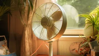 How Brief Morning Sun Exposure Resets Sleep Rhythms And Boosts Daily Alertness