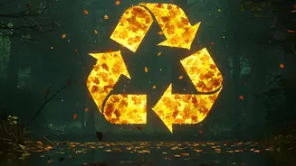 Kerala's Green Marshals Could Reduce Confusion Around Local Waste Rules
