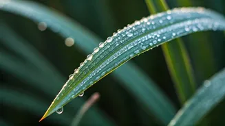 Unlocking Your Winter Glow: Expert Skin Hydration & Radiance