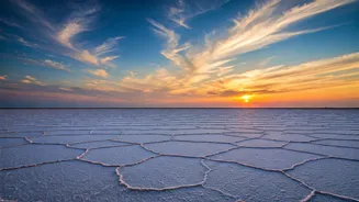 Explore the Rann of Kutch: Gujarat's Majestic Salt Desert