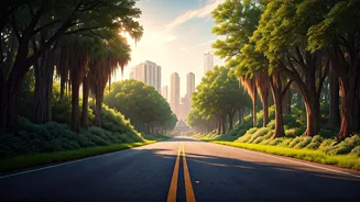 Louisiana's Road Trip Wonders: Unforgettable Adventures for Every Traveler