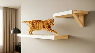 Specialized Vertical Wall Bridges Are Ultimate Trend For Feline Parents