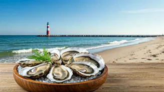 Lewes, Delaware: Uncover Coastal Charm, Fresh Oysters, and Historic Wonders
