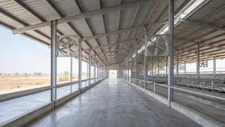 Why Heat Stress Matters For India’s Milk Production