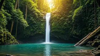 Wayanad Hidden Waterfall Trails Provide Dream Sanctuary For Young Backpackers