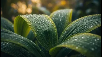 July Humidity Makes These Plants Even Happier