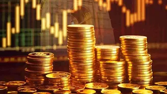 The Goldman Sachs Indian AI Listings Outlook Estimates Possible Gains Rather Than Confirmed Stock Market Value