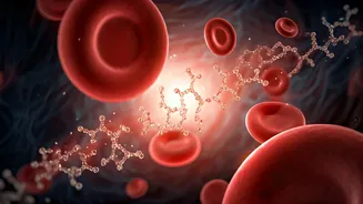 High Altitude Secret: Red Blood Cells & Lower Diabetes Risk Unveiled