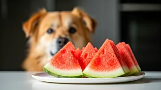 Why Pet Lovers Swear By Frozen Watermelon Slices This Season