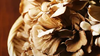 Recycled Coffee Grounds Fuel Sustainable Mushroom Production In Urban Hubs