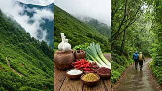 Monsoon Holidays Now Start With What To Do