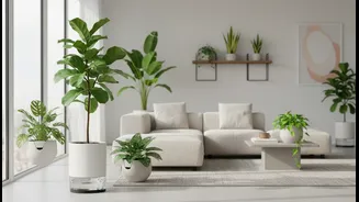 Self-Watering Containers Change How Millennials Care For Indoor Plants