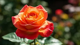 7 Conversations for Teenage Daughters