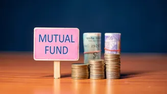 Tata launches India's 1st multi-cap-consumption index fund: Should you invest?