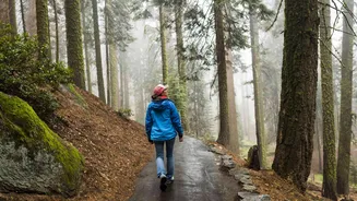 How to practice mindfulness through slow walking