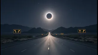Crowd Mobility Matters When Millions Head Toward The Path Of Totality