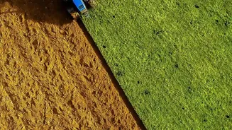 Degraded Cropland May Respond Poorly to the Same Management Used on Healthy Fields
