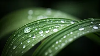 This Monsoon Skincare Advice From Dermatologists Is Pure Gold