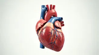 Do These Exercises Daily for a Healthy Heart