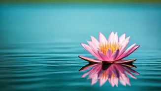 Rumi Quotes Will Uplift Your Spirit