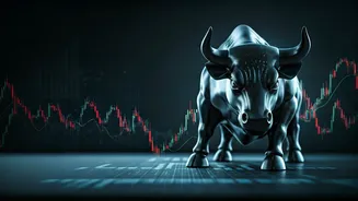 Indian Stock Market: Today's Key Players & Trends