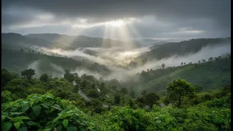 The Green Season Is Turning Western Ghats Towns Into Weekend Favourites