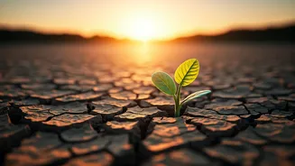 Unlocking Hidden Potential: Embrace Life's Evolving Opportunities