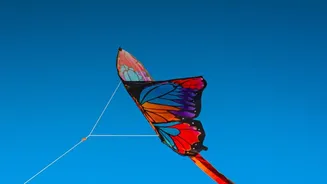 Flying A Kite Requires Coordinating Your Hands And Eyes