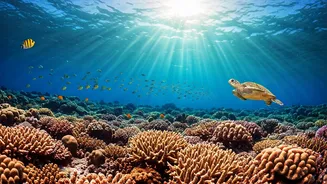 Dive into India's Underwater Wonders: 7 Spectacular Scuba Spots Beyond the Andamans