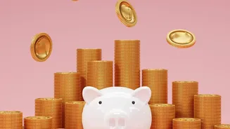 Direct plan mutual fund investments yield superior long term wealth compared to regular choices