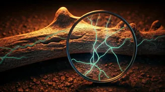 Plague DNA Has Entered Archaeology Content