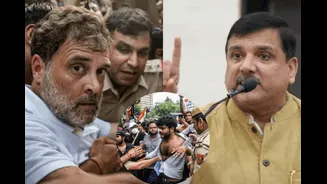 ‘Jugalbandi With BJP’: AAP Targets Congress Over Rahul Gandhi's PM Residence Protest, Fuels Rift Buzz