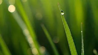 Related Stories banner