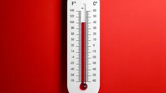 Copernicus Warns Of Growing Stress As Sea Temperatures Set A Record