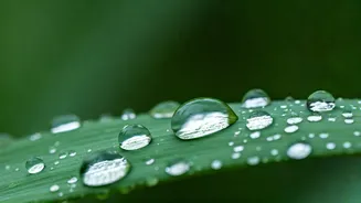 Humidity Can Decide Whether You Train Safely